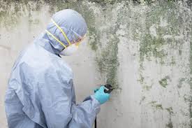 Best Mold Removal for HVAC Installations  in Chandler, AZ